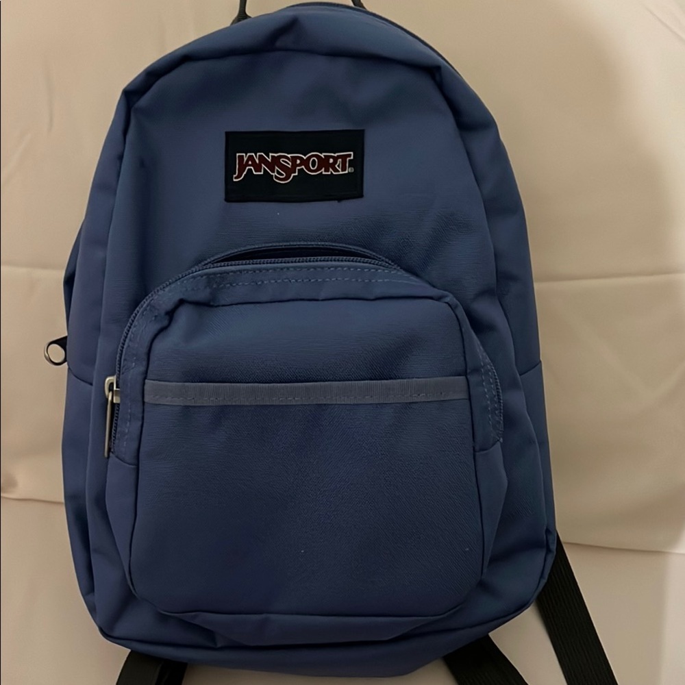 JanSport Blue Backpack for Men